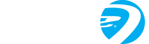 DYE Asia logo