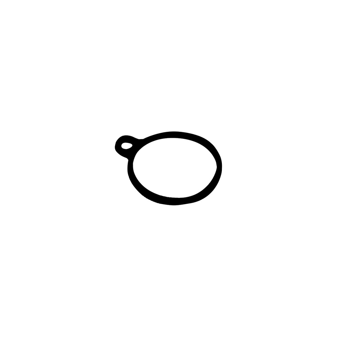 DSR Solenoid Seat Gasket